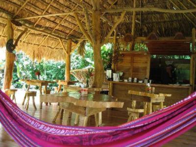 ホテル Blue Conga Puerto Viejo de Talamanca エクステリア 写真